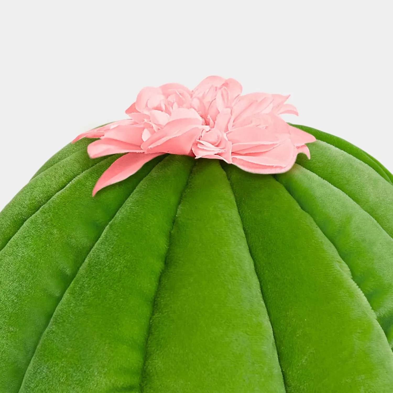 Cactus Cat Beds for Indoor Cats