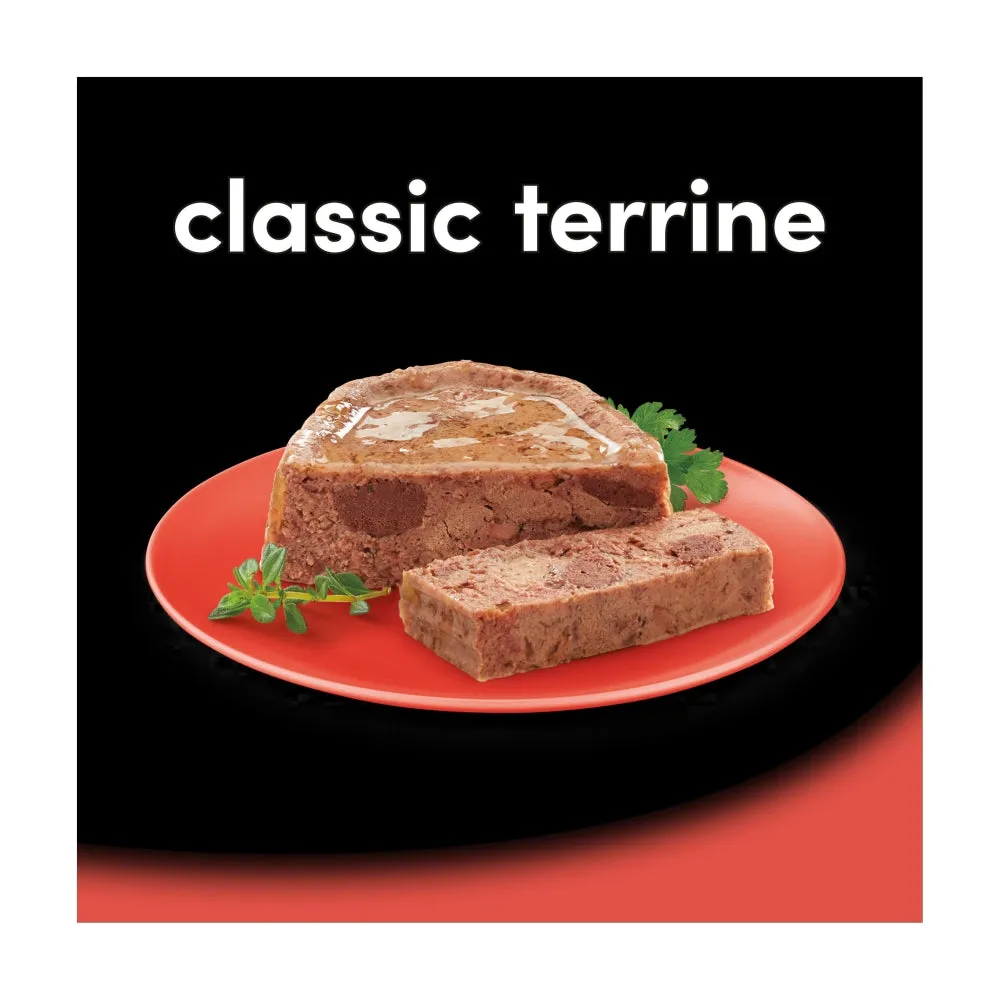 Cesar | Wet Dog Food Foil Selection | Classic Terrine - 8 x 150g