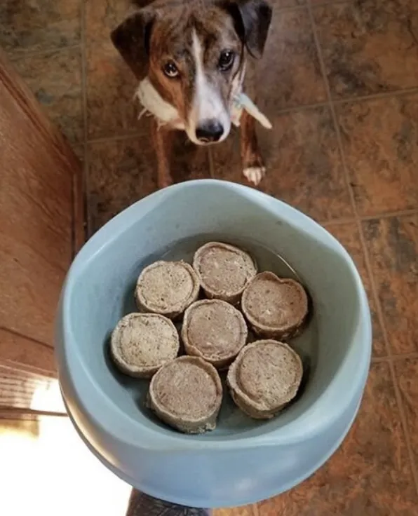 Smallbatch Freeze-dried Lamb Sliders 14oz